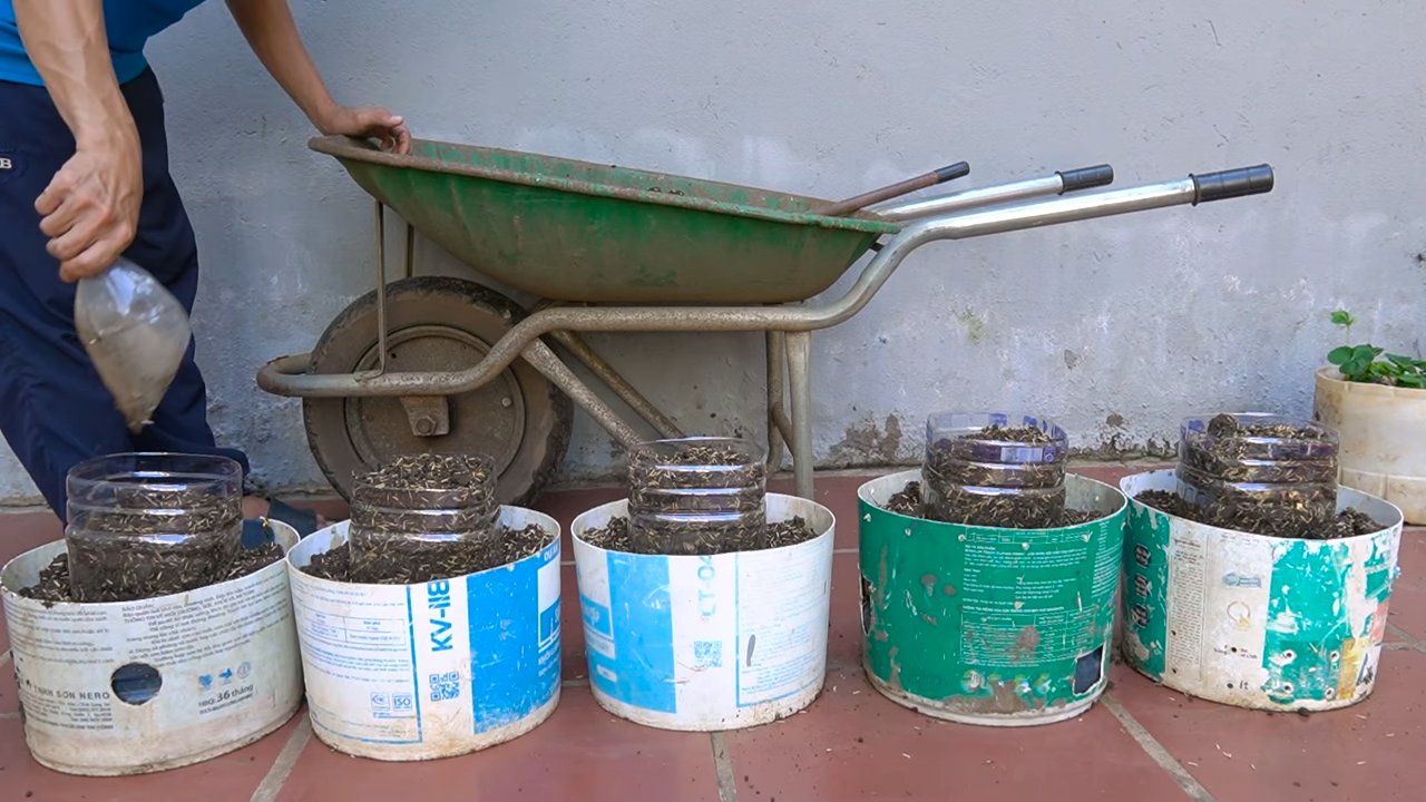 Ingwer Vorrat Küche DIY