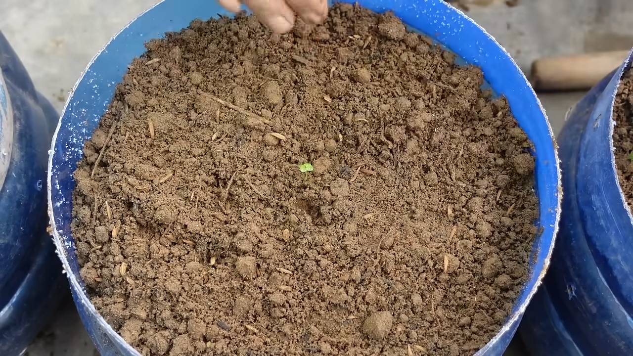 Kohl Anbaukiste selber bauen
