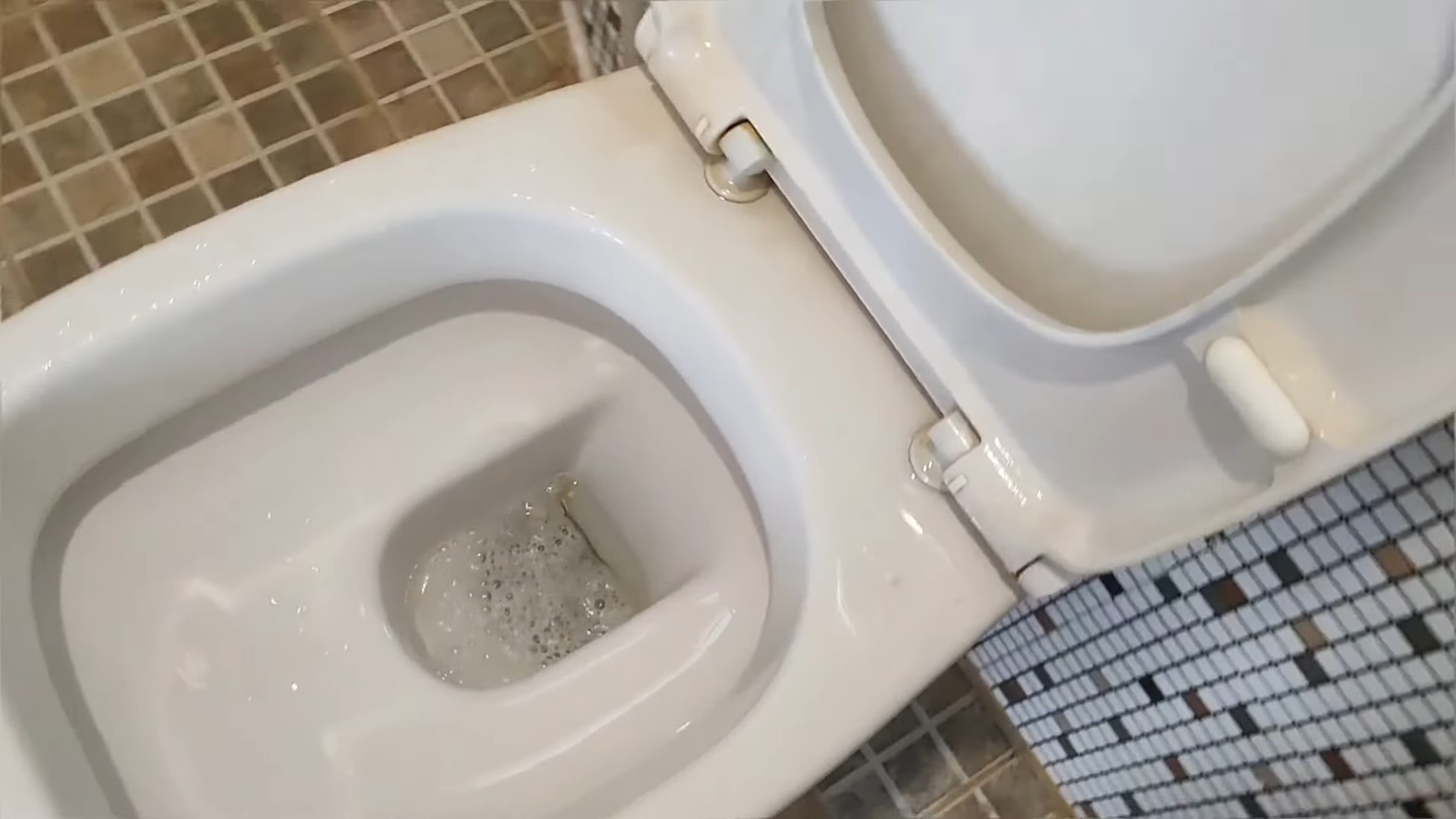 WC Reinigung Anleitung