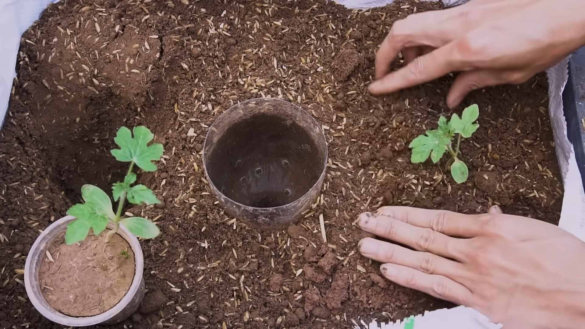 Wassermelone Hängematte selber bauen