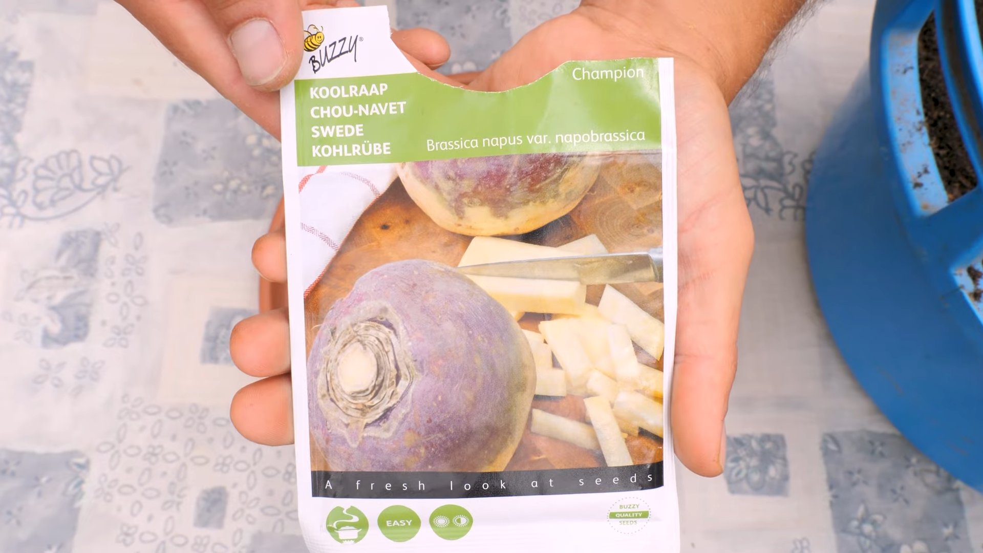 Riesenkohl anbauen einfacher Garten