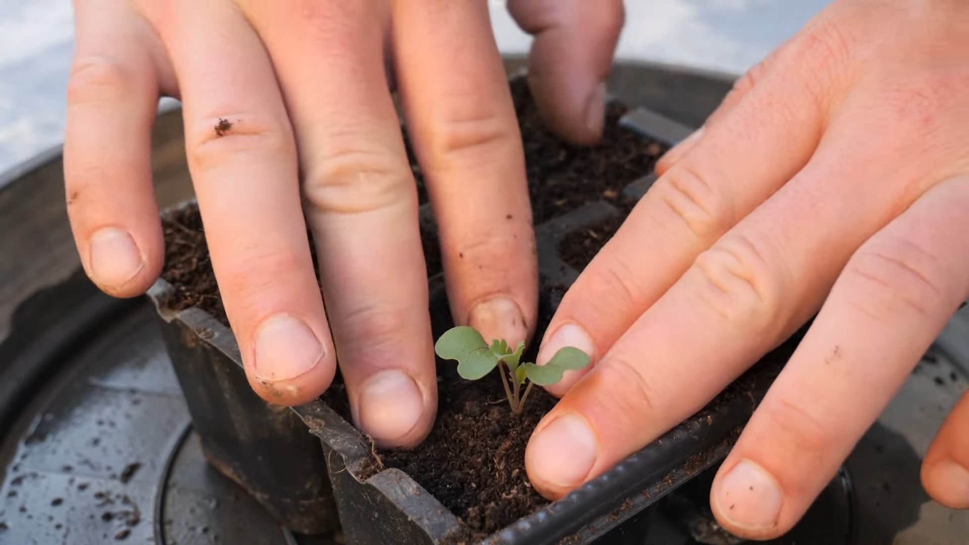 Kohl Container Trick DIY
