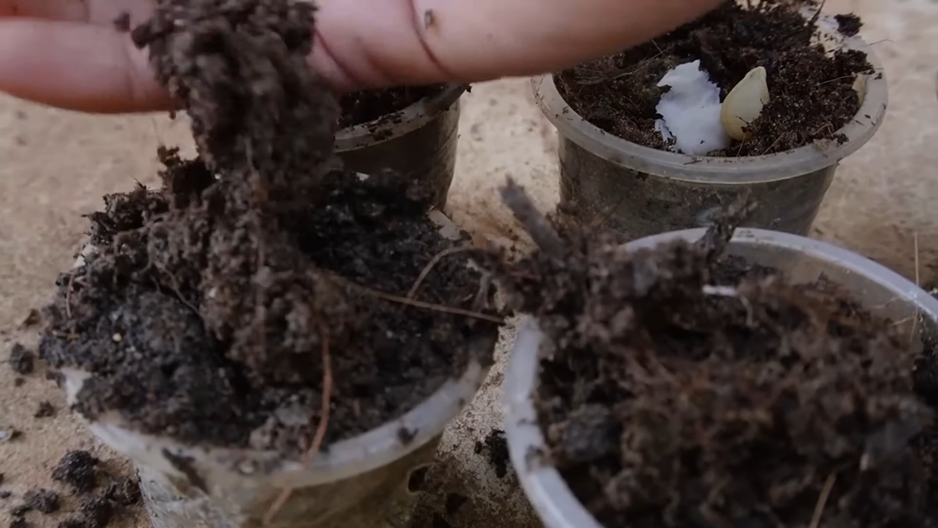 Gartenarbeit ohne Garten