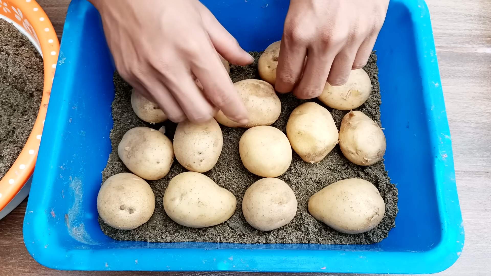 Kartoffeln auf dem Dach anbauen
