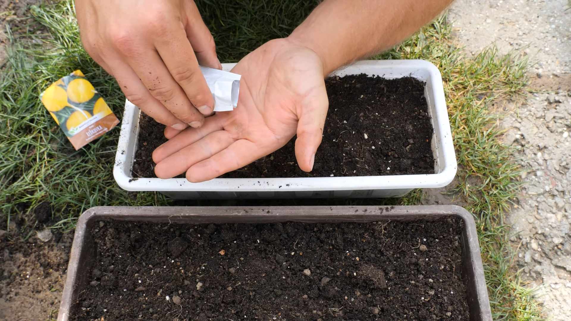Radieschen Anbau Frühling